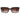 Love Moschino Brown Acetate Sunglasses