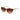 Ted Baker Multicolor Acetate Sunglasses