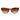 Ted Baker Multicolor Acetate Sunglasses